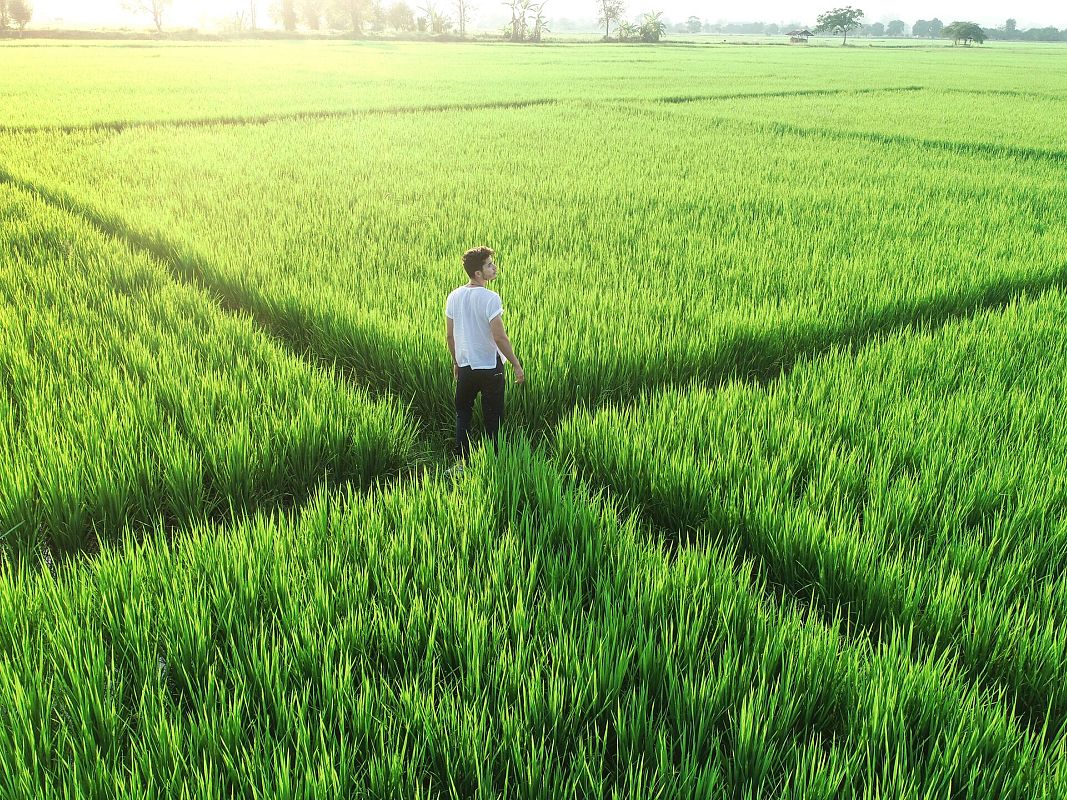 Grafika Produkty pofermentacyjne